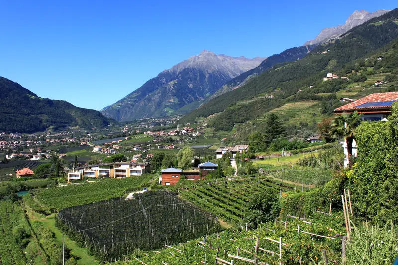 View over Algund near Meran